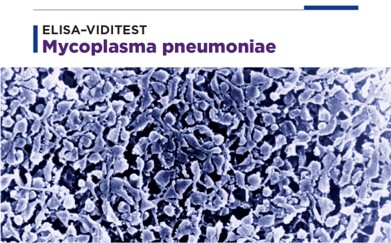ELISA-VIDITEST anti-Mycoplasma pneumoniae