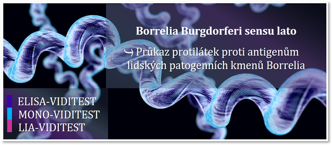 borrelia banner